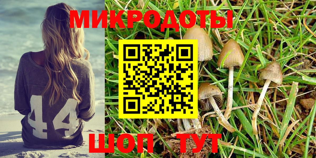 Псилоцибиновые грибы GOLDEN TEACHER  Вход с VPN  Шелехов  Псилоцибиновые грибы Cubensis 