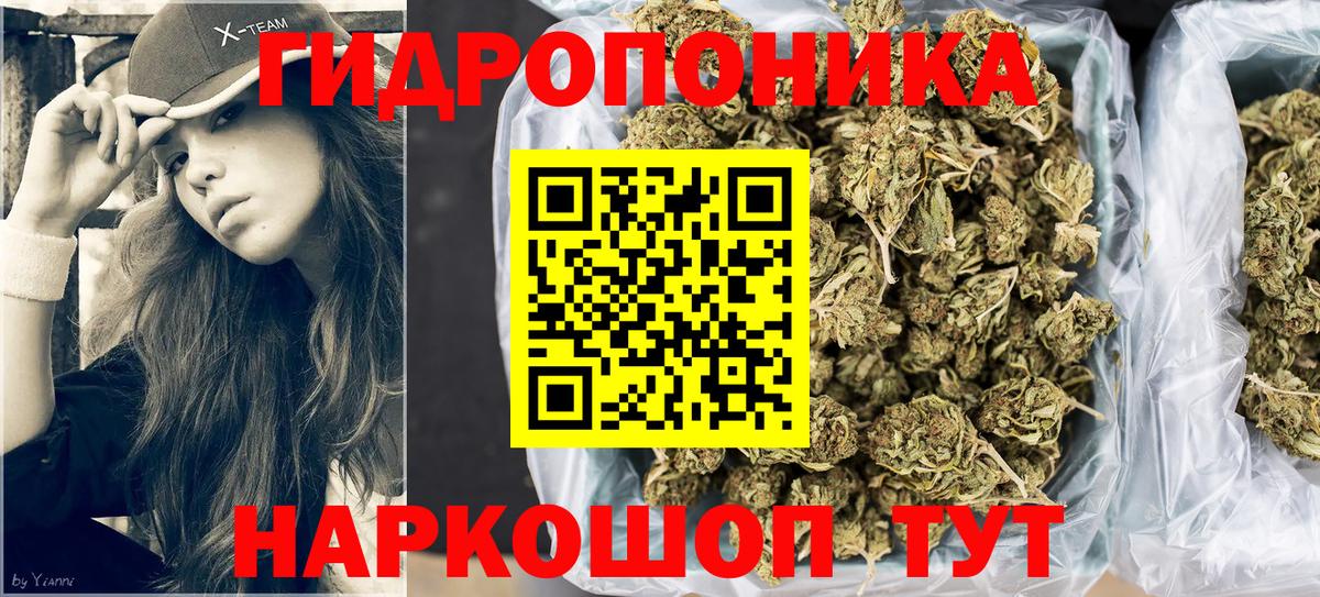 Канабис семена Шелехов